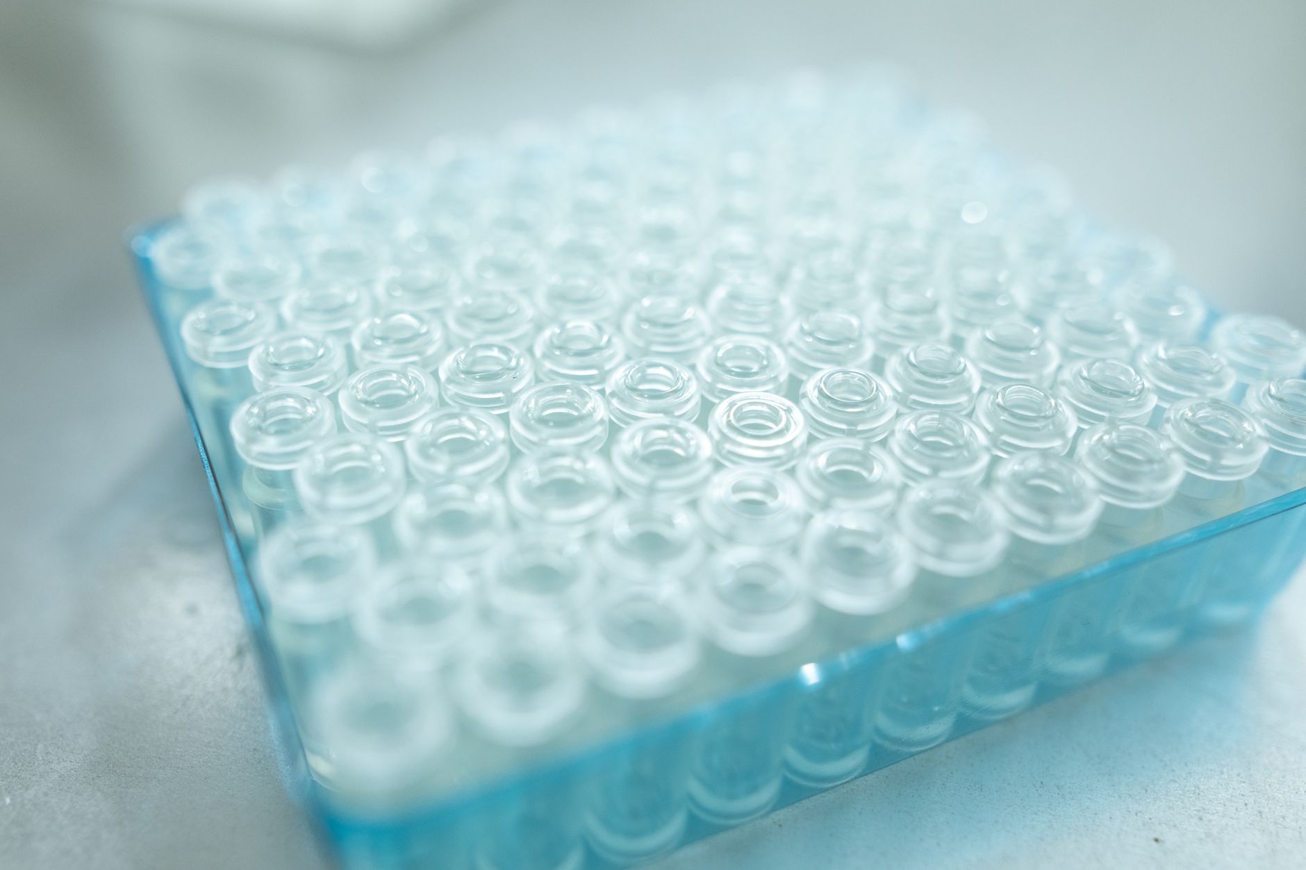close up photo of laboratory glass samples